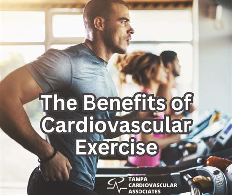 cardkoi|Cardio Workouts and Exercises for All Fitness Levels .